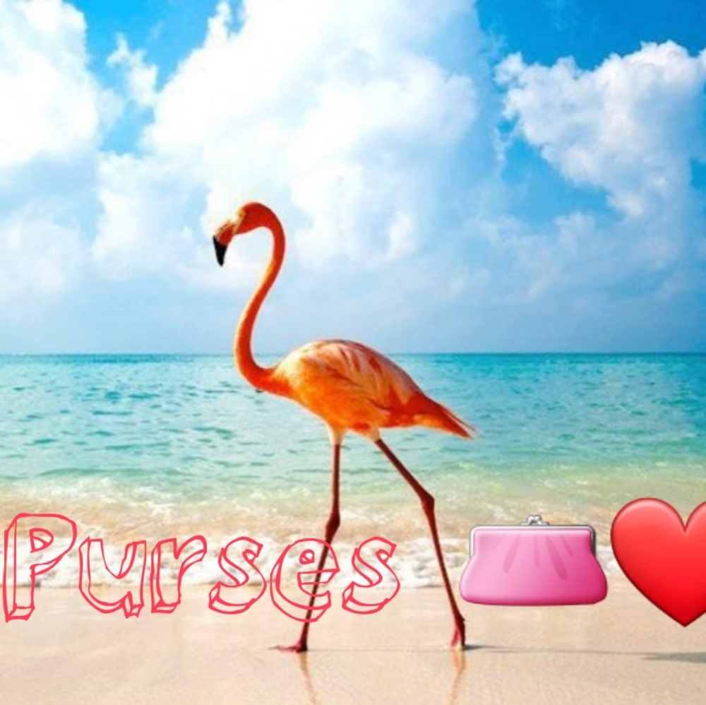 Shop Purses🎊